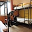 Sunflower City Student Hostel & Bar