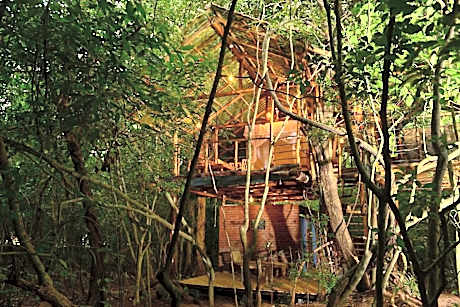 Family Tree House