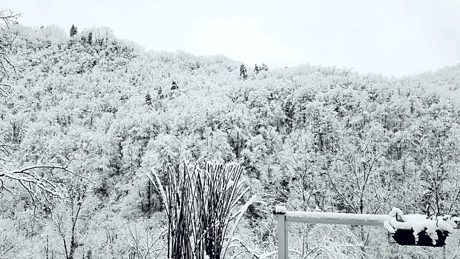 Skymist Maison d'hôtes