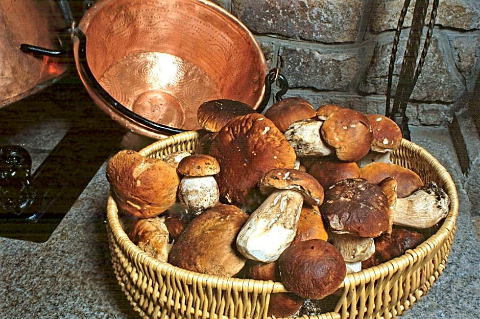 Logis Hotel Restaurant Family & Spa