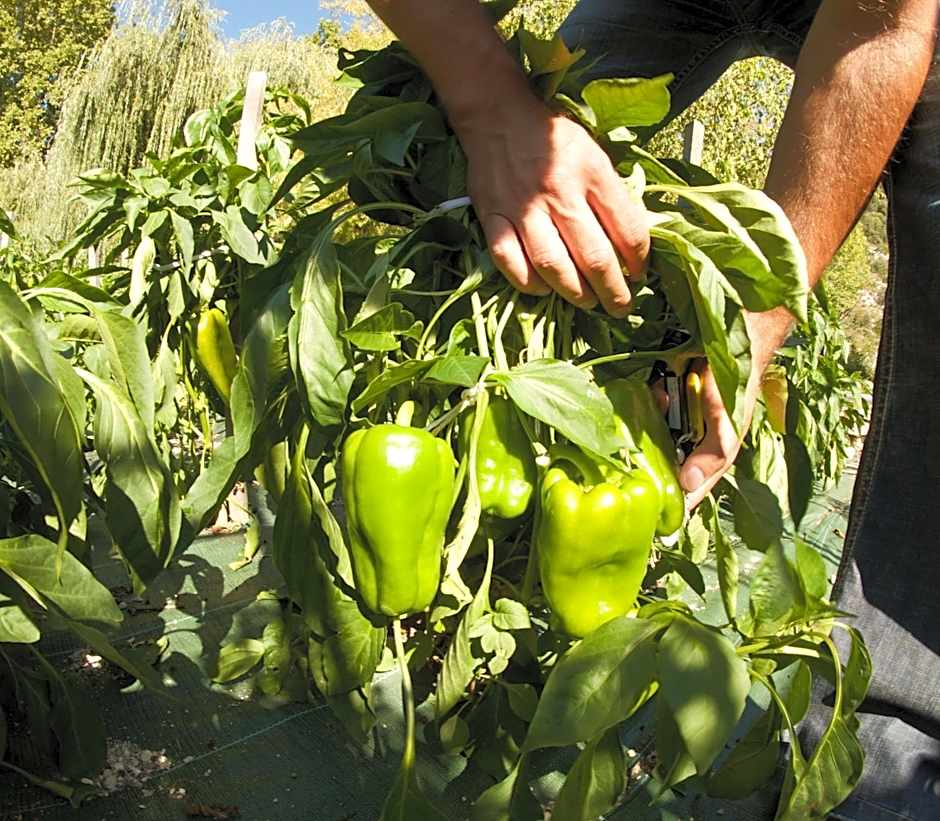 Hotel Restaurant du Parc