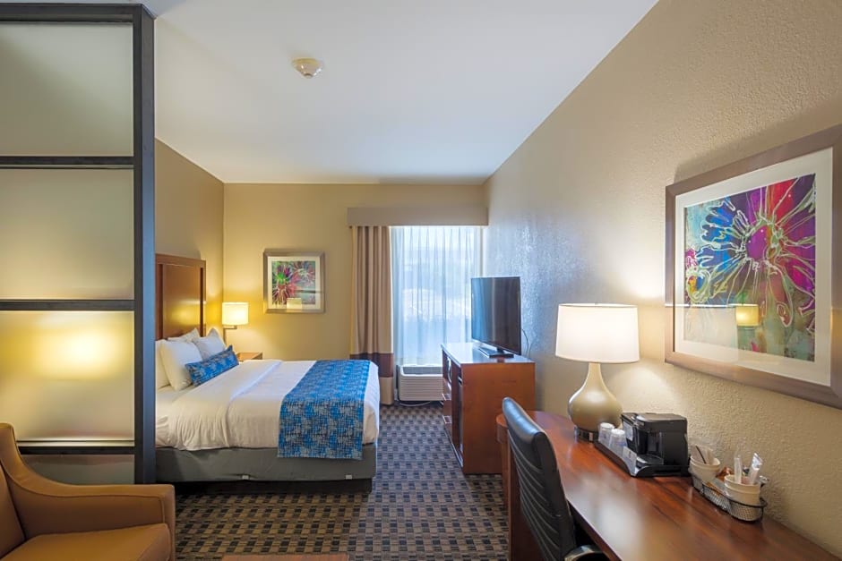 Best Western Plus Greenville I-385 Inn & Suites
