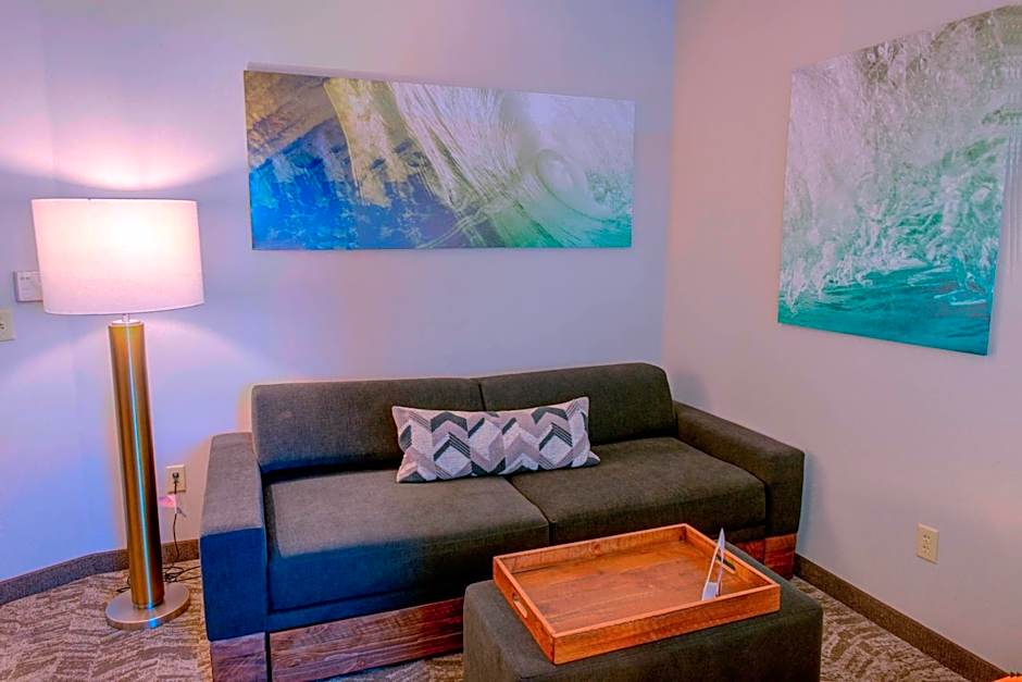 SpringHill Suites by Marriott Macon