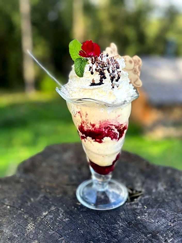 Olza Karczma i pokoje