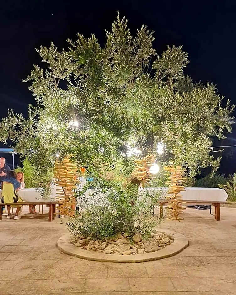 Agriturismo Tenuta Calitre