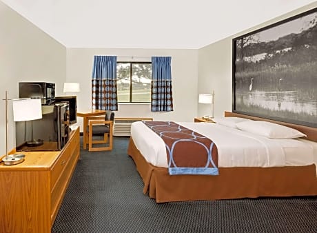 1 Queen Bed Accessible Room Non-Smoking