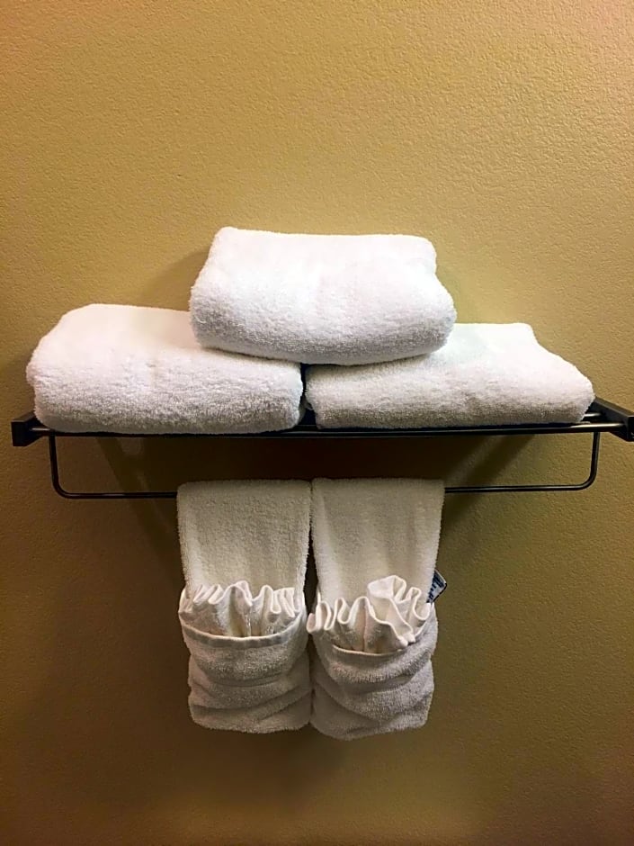 Best Western Plus Patterson Park Inn