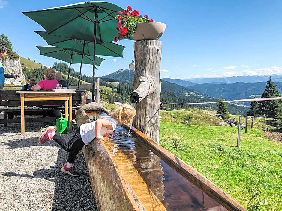 Hotel-Restaurant Bike&Snow Lederer