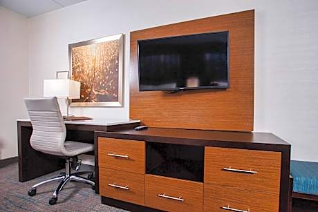 1 K Living Rm Sofa Bed Mobility Access Rishwr