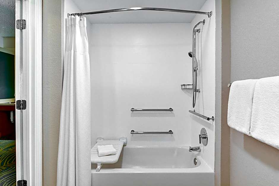 SpringHill Suites by Marriott Jacksonville