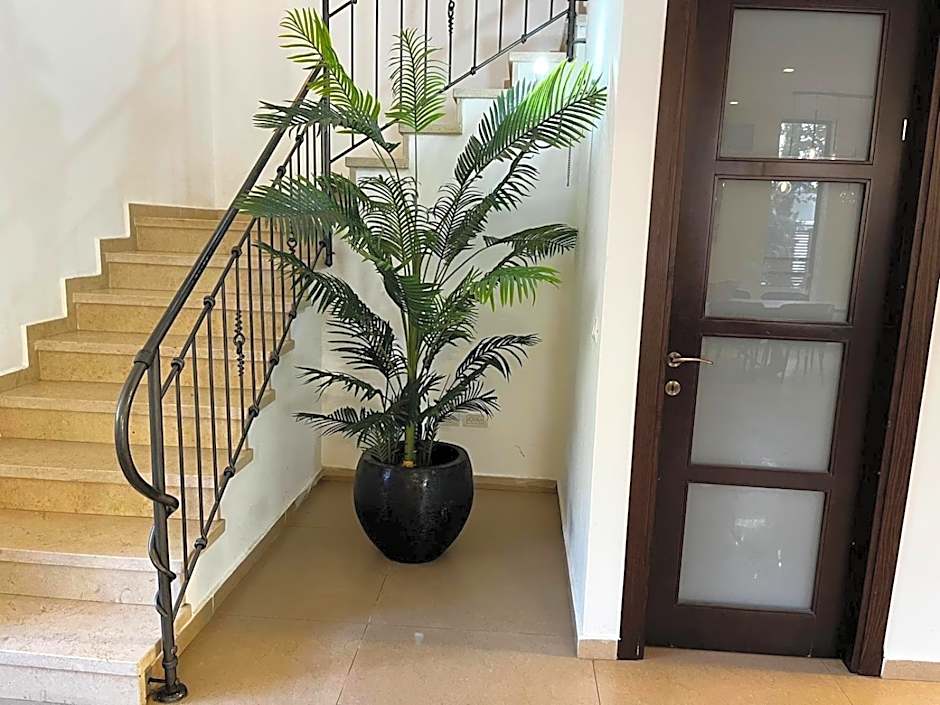 Super house- villa09