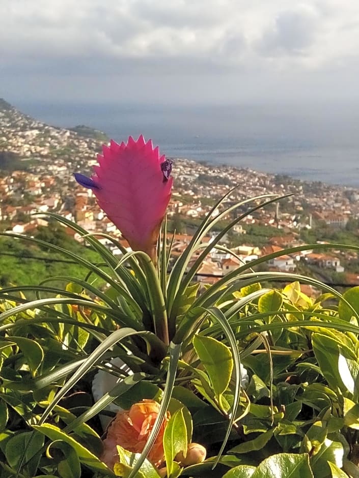 La Chambre de Ker Briac