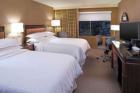 Double Room with Two Double Beds