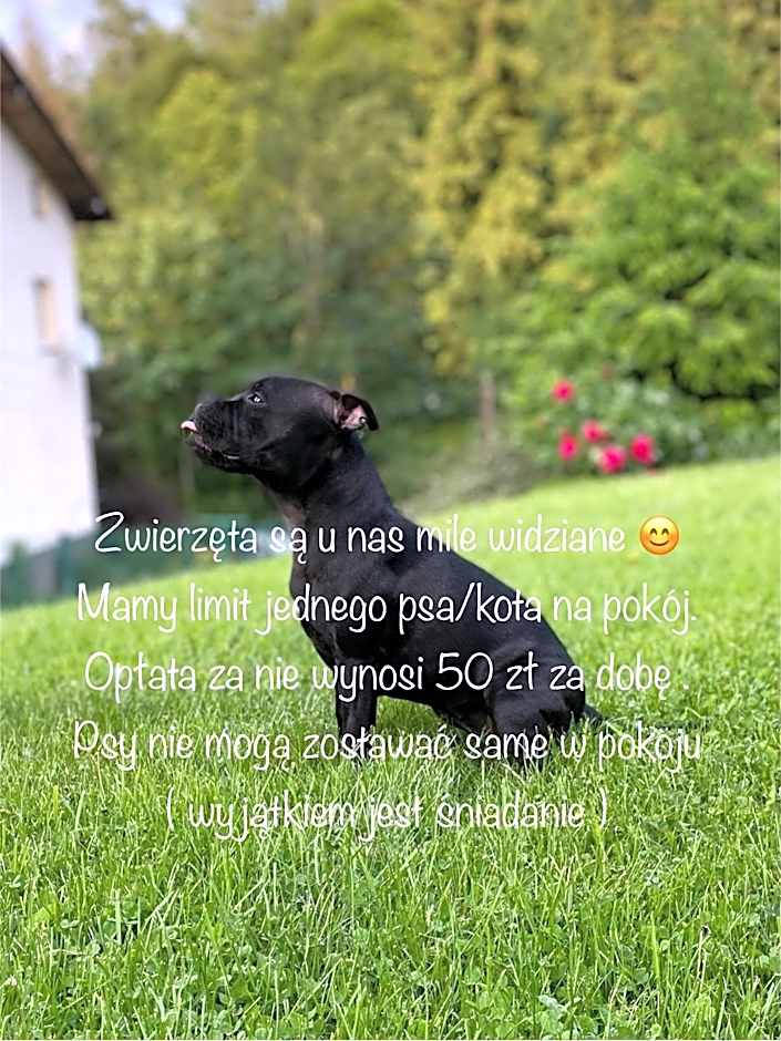 Cudne Manowce