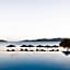 Qualia