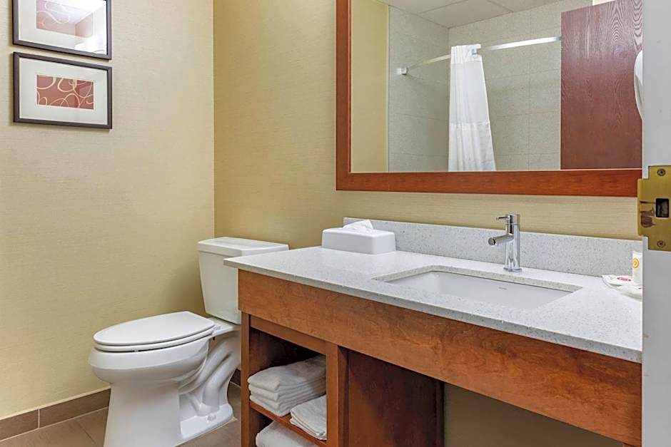 Comfort Suites Dover University Area