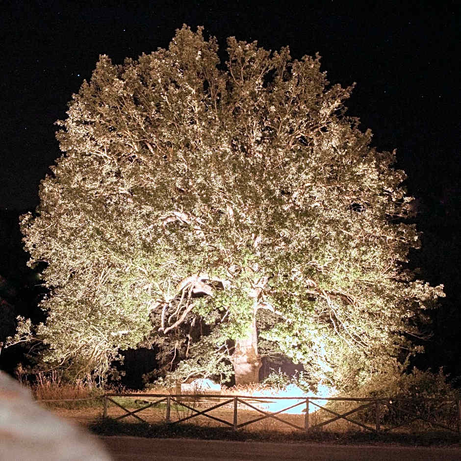 Sotto Il Cielo Hotel