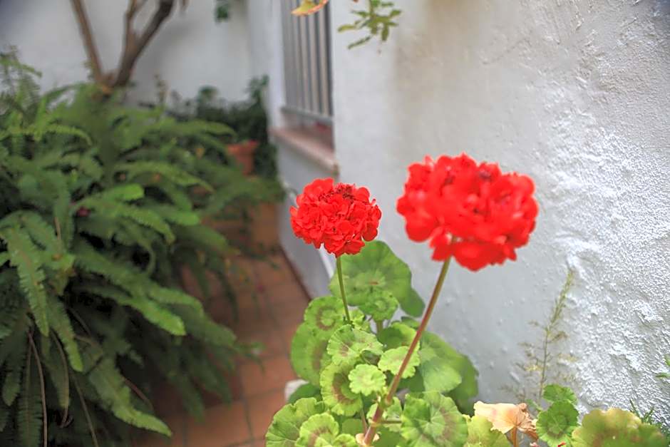 Hotel El Coloso