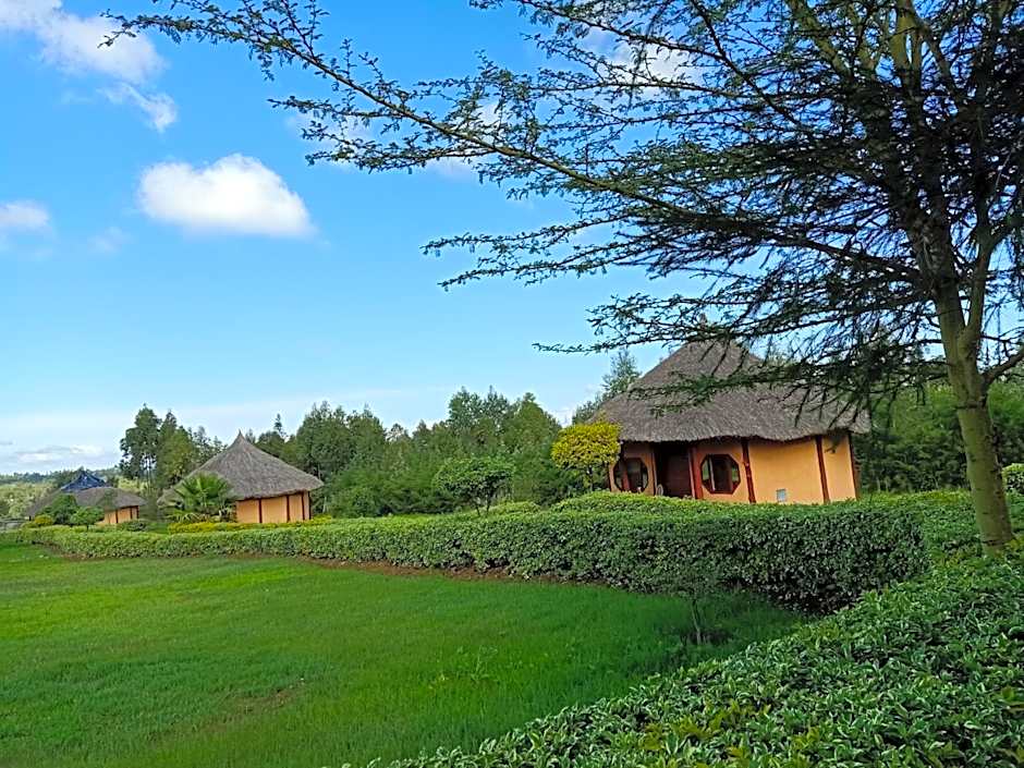 The Great Circle Lodge