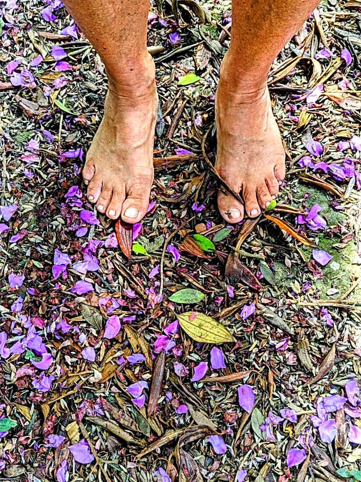 Casa das Irmãs - Só Mulheres - Women Only