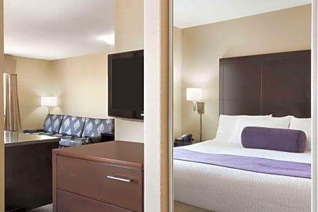 1 King Bed Executive Suite Non-Smoking