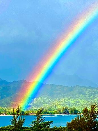 BBs Biz E HBR 4104/5/6