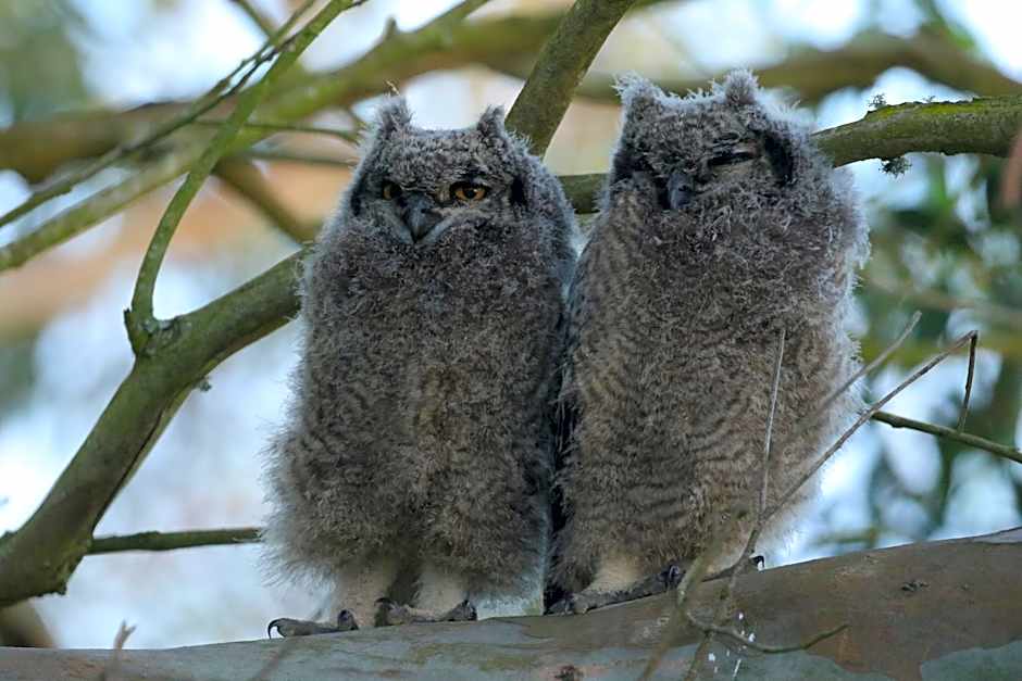 Kragga Kamma Game Park