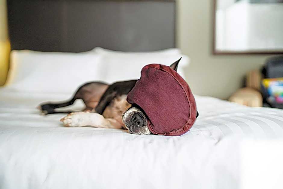 Santiago Marriott Hotel