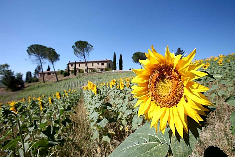 Tenuta d'Arbia, Siena