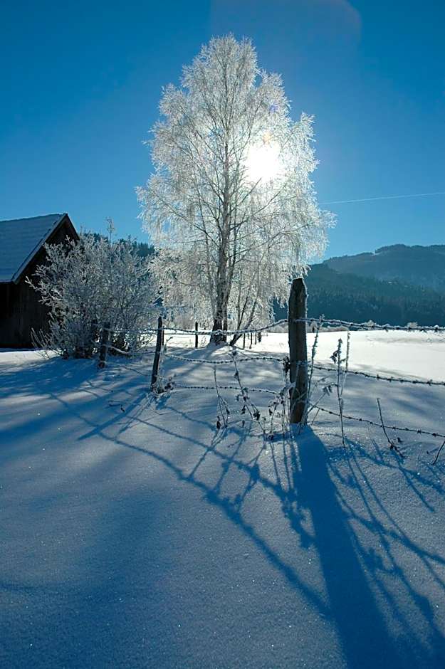 Gasthof Hirschenwirt