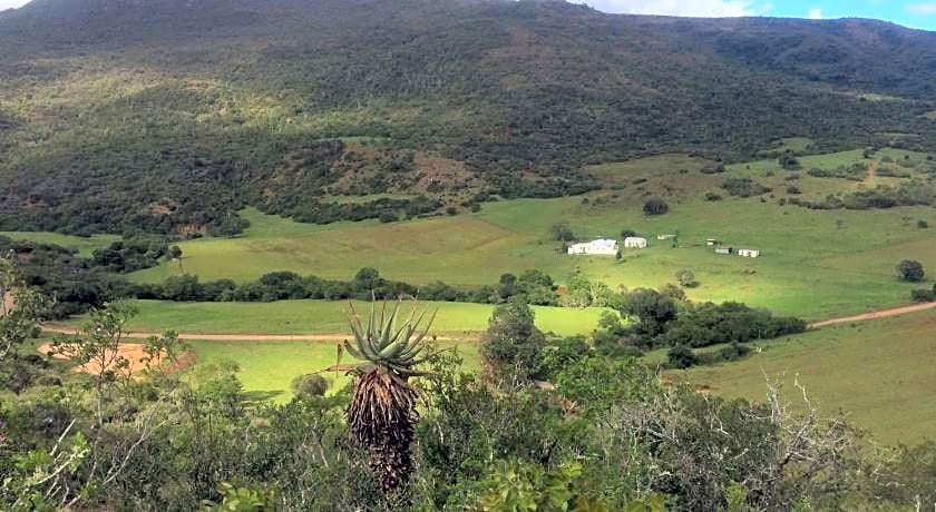 Kromrivier Farm Stays & B&B Near Addo Elephant Park