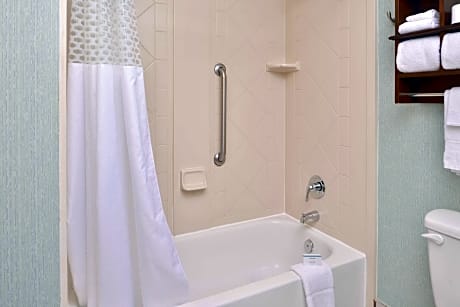 1 King Bed Nonsmoking