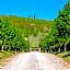 Borgo Malvasia- La Quercia