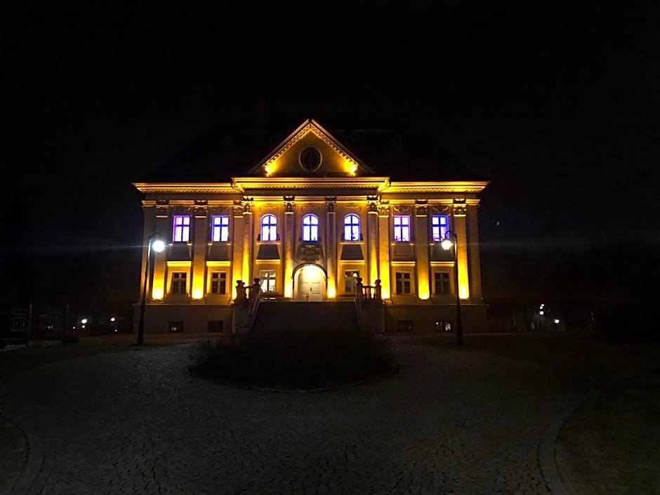 Hotel Pałac Borynia