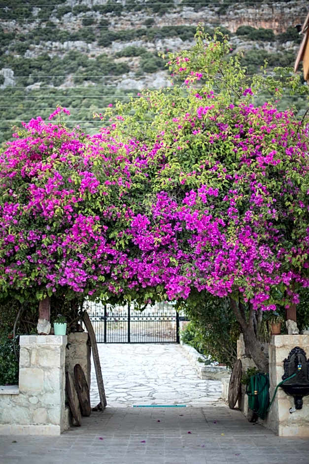 Likya Yolu Palas Hotel
