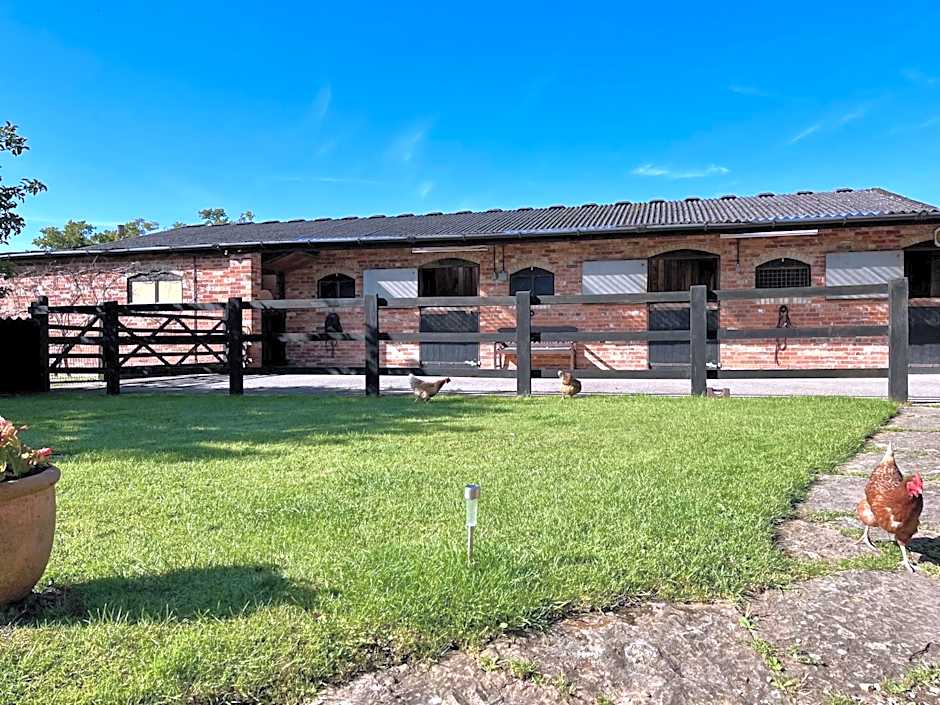 Priors Oak - A Cosy Studio with Countryside Views in Dorset