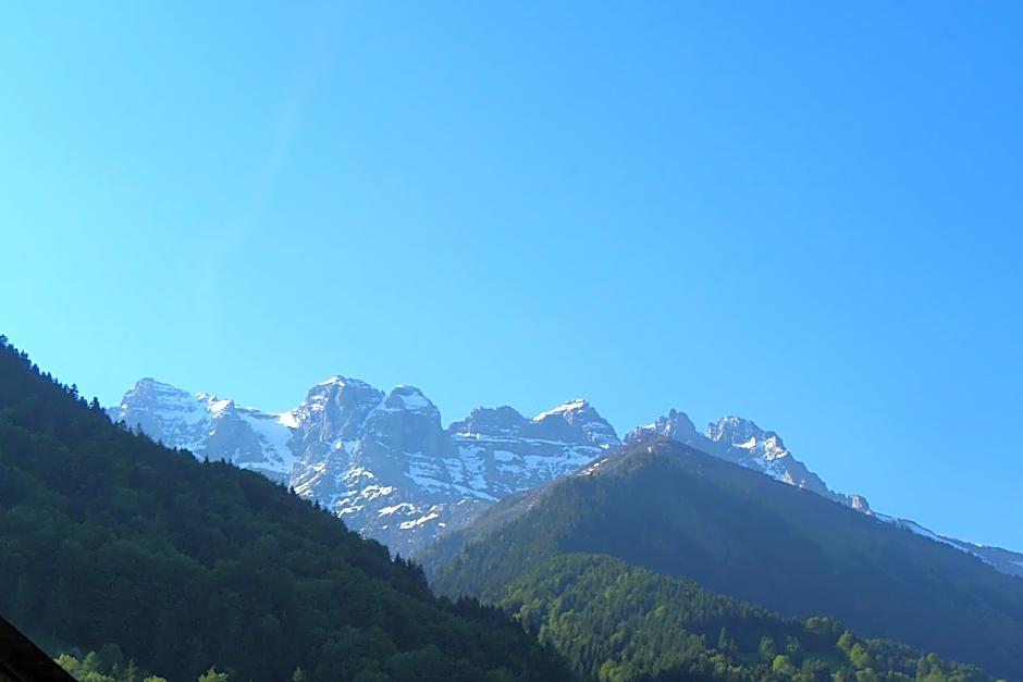 Spacious Swiss Alpine Chalet for Nature Lovers