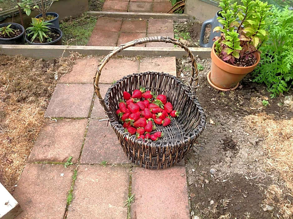 Rolling Hills Country Stay B&B