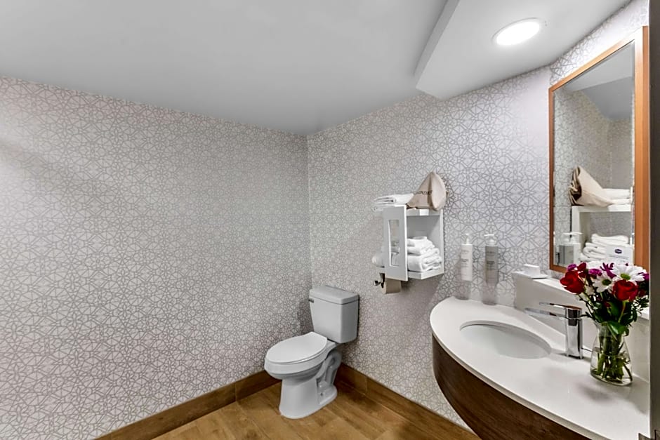 Hampton Inn By Hilton Knoxville-Airport