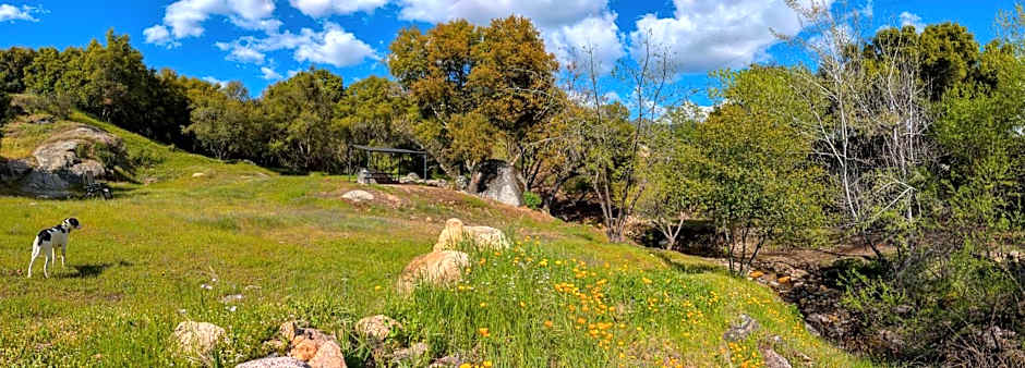 Genas's Sierra Inn & Restaurant