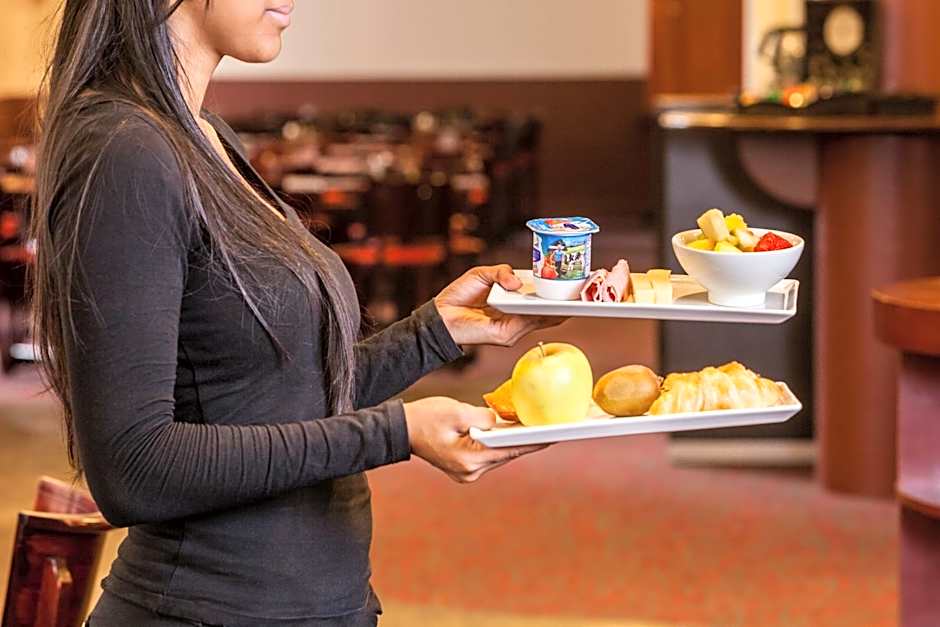 ibis Paris Gare Montparnasse 15ème
