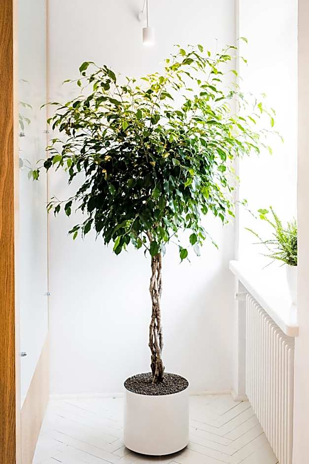 Apartamenty Browar Perła - free Parking