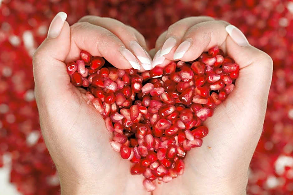 Falk Seehotel Plau am See