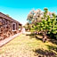 B&B Pettirosso Garden