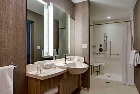 Suite, 1 King, Trundle bed