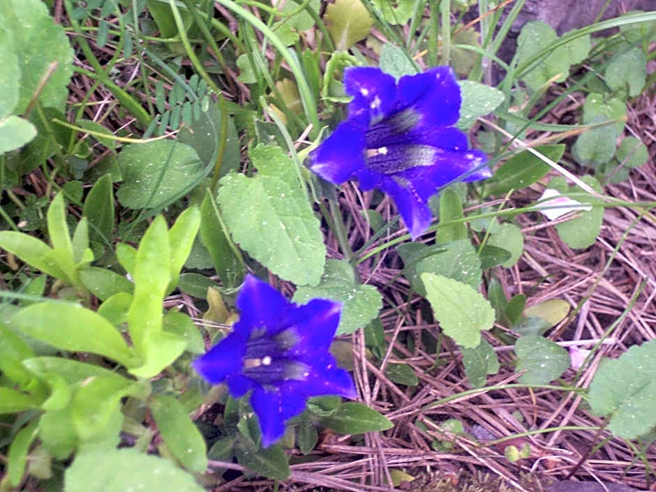 Wellness Hotel Central