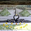 Green Studio Apartment Sanur