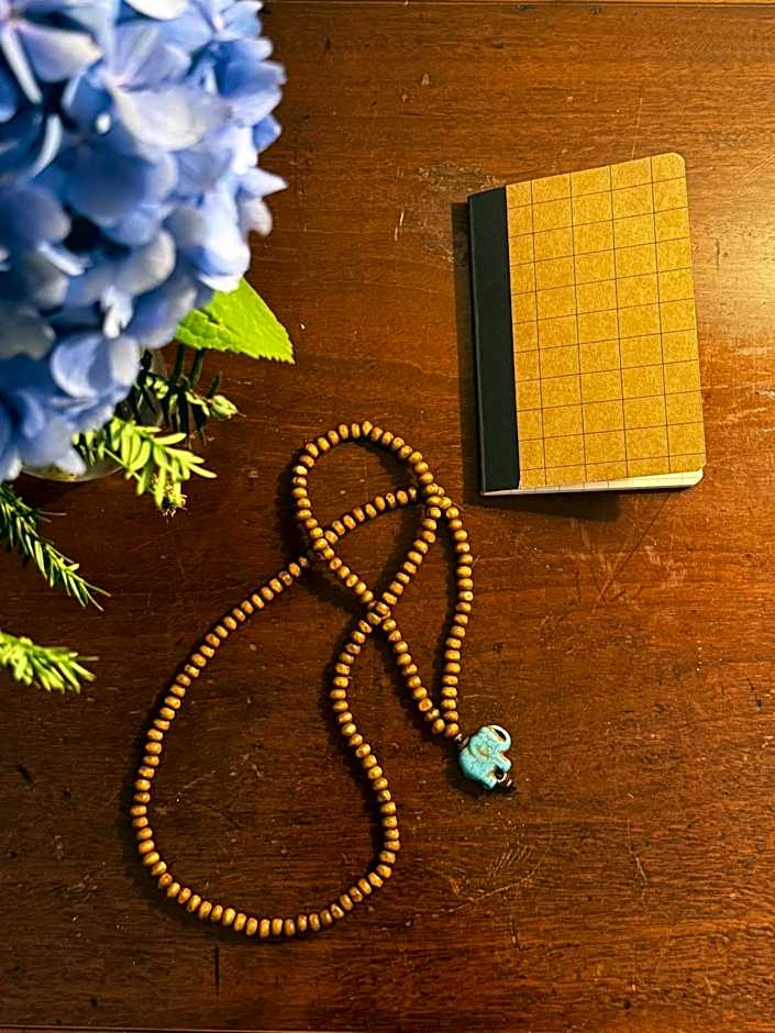 L'Elefante Fritz Boutique Lodge - Villa Piazzo