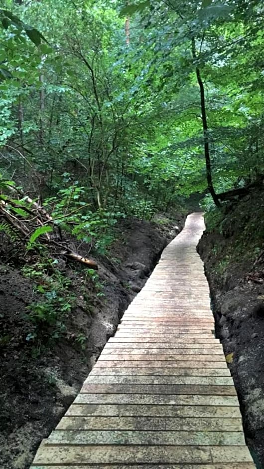 Domek obok Willi w Rozewiu