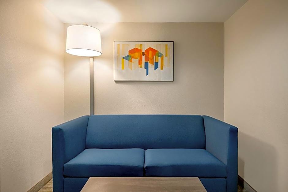 Holiday Inn Express Hotel & Suites Fredericksburg By IHG